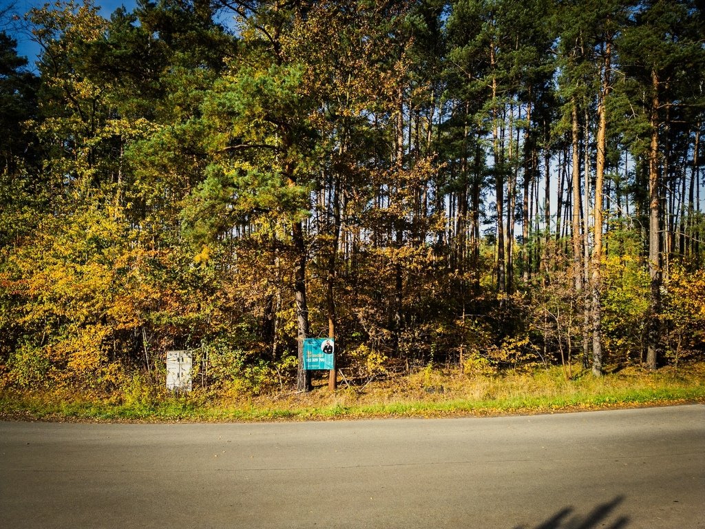 Zalesione działki pod zabudowę w Chociszewie, media, blisko Łodzi Chociszew  1 592m2 Foto 1