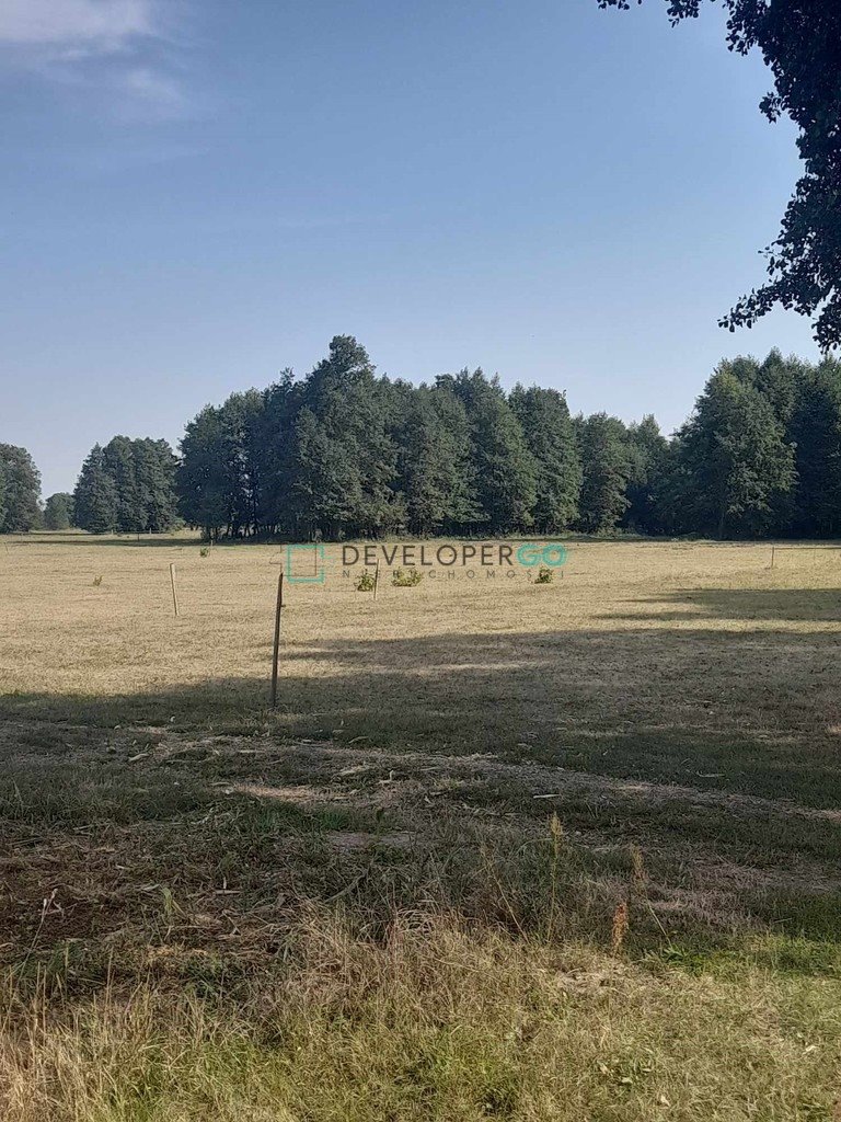 Działka rolna na sprzedaż Morzyczyn Włościański  11 810m2 Foto 2