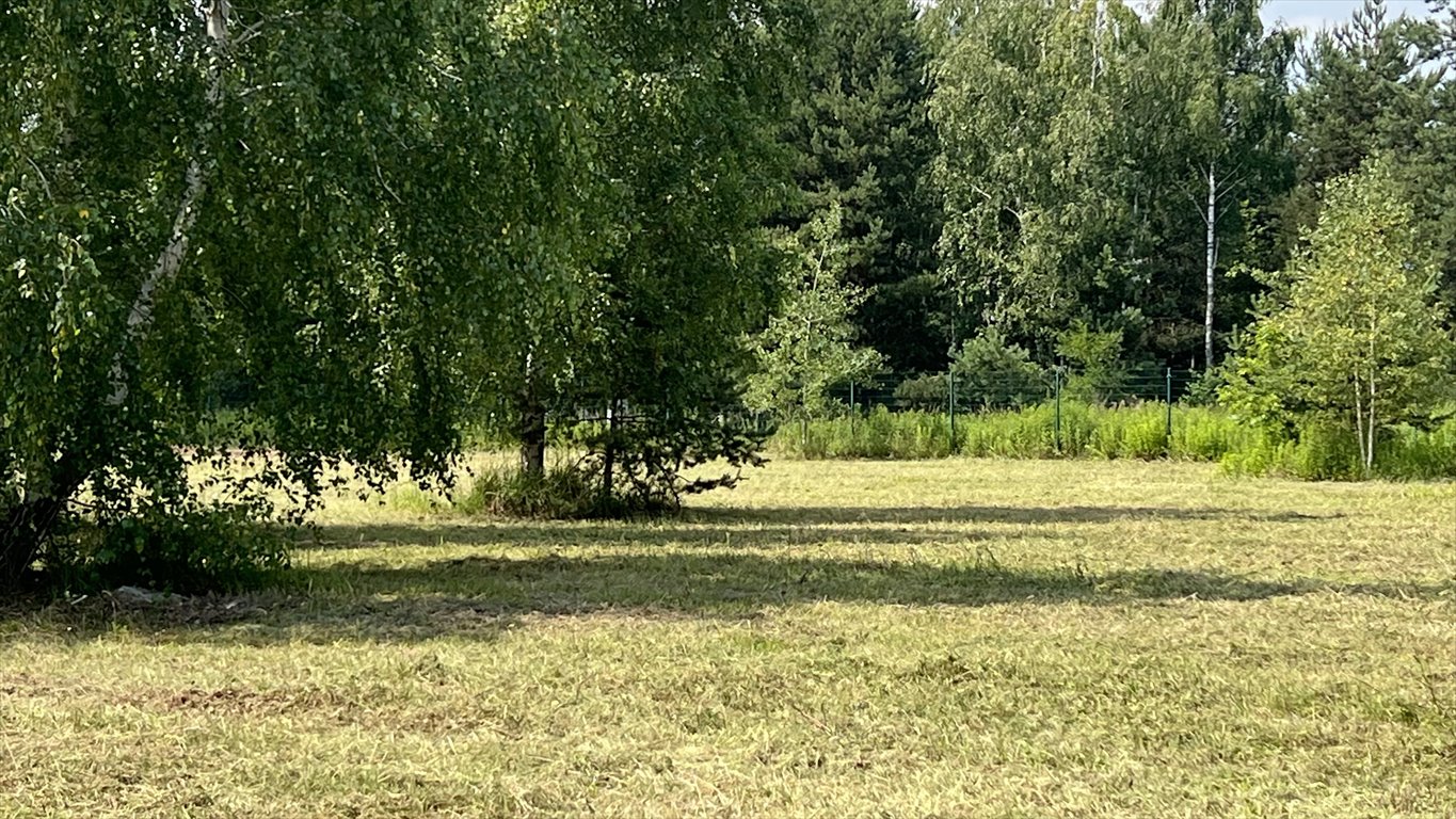 Działka budowlana na sprzedaż Kierszek, Prawdziwka  3 000m2 Foto 11