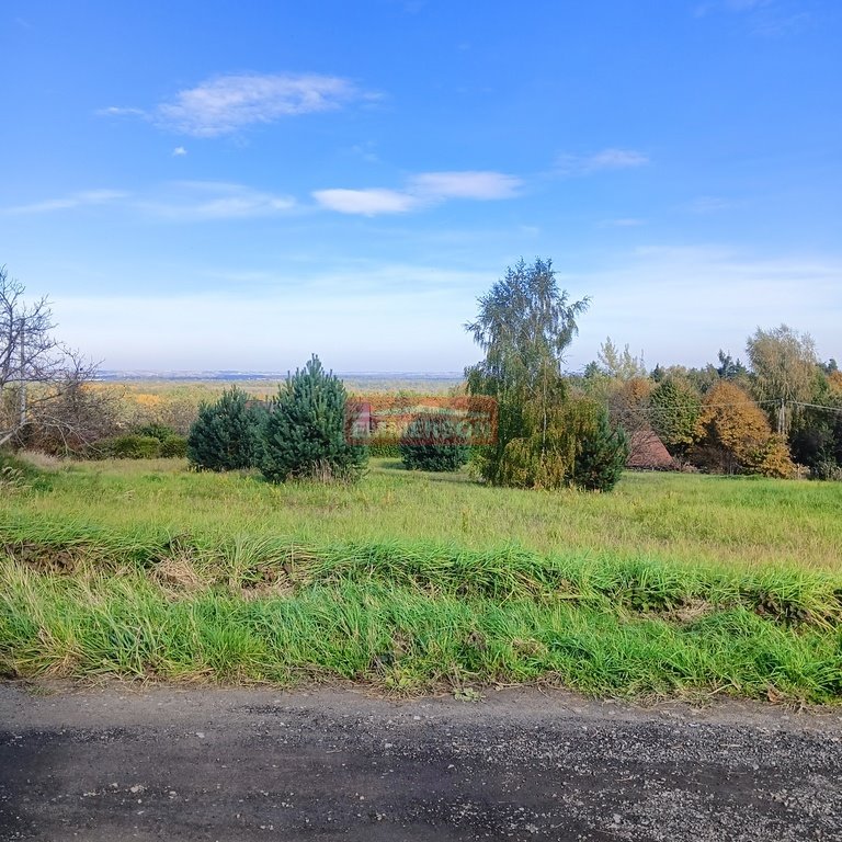 Działka budowlana na sprzedaż Dąbrowa  2 825m2 Foto 1