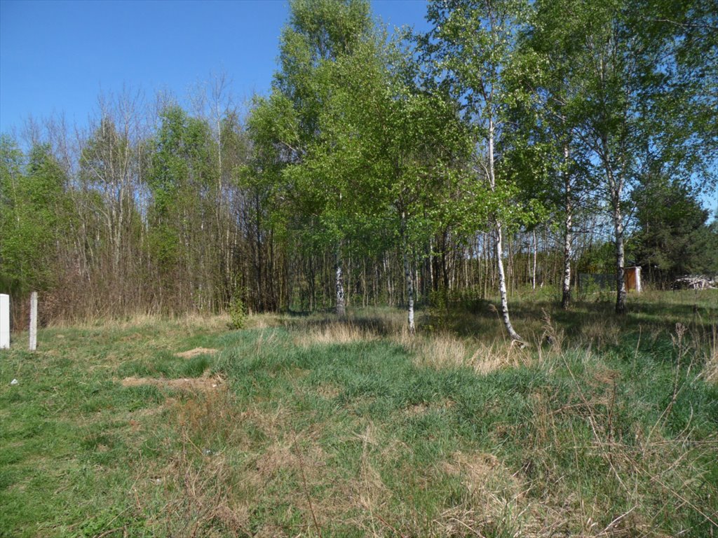 Działka budowlana na sprzedaż Rzerzęczyce  3 382m2 Foto 9