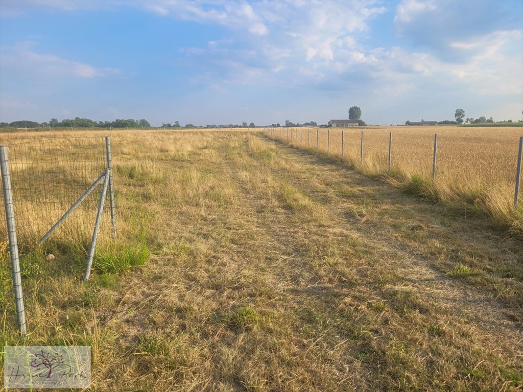 Działka budowlana na sprzedaż Skotniki  1 960m2 Foto 2