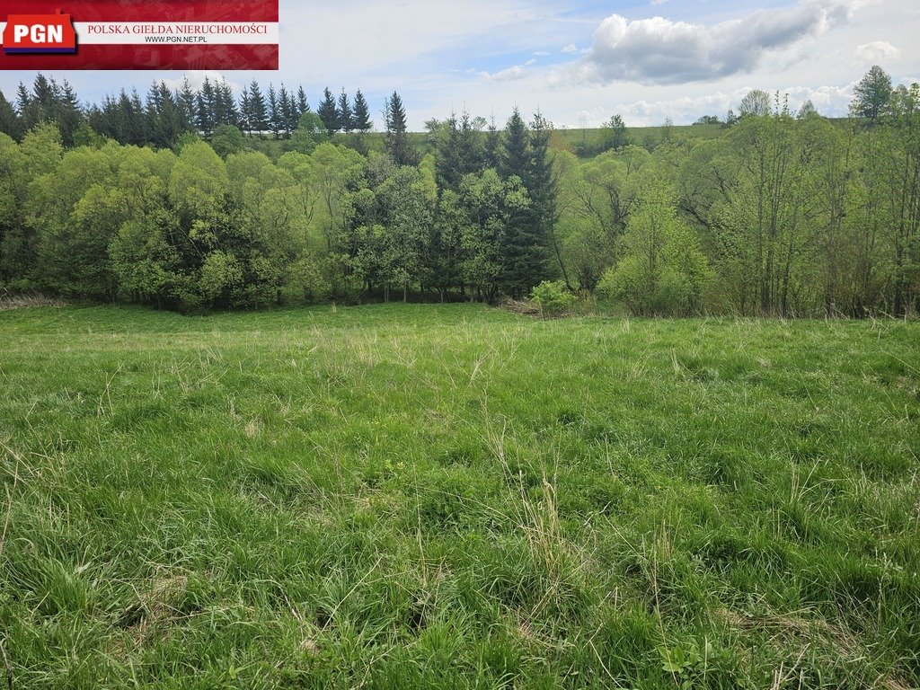 Działka budowlana na sprzedaż Łężyce  5 200m2 Foto 6