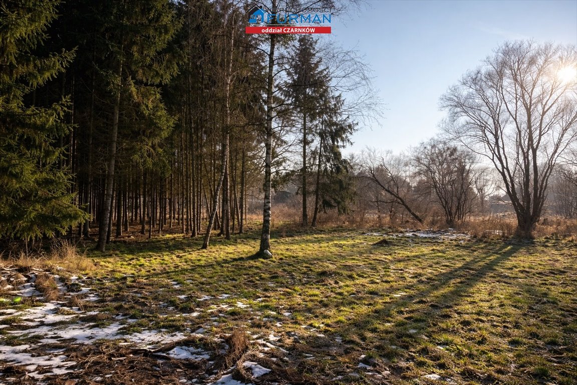 Działka 3363 m² z warunkami zabudowy, las, prywatność Lubcz Wielki  3 363m2 Foto 1