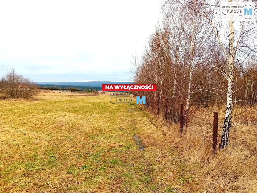 Działka inna na sprzedaż Bodzentyn, Wilków  4 400m2 Foto 3