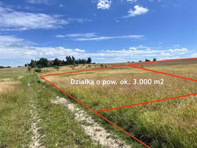 Działka rolna na sprzedaż Zieleniewo, Jantarowa  3 000m2 Foto 4