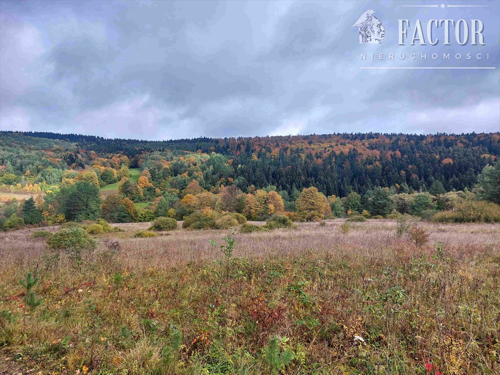 Działka budowlana na sprzedaż Kunkowa  809m2 Foto 2