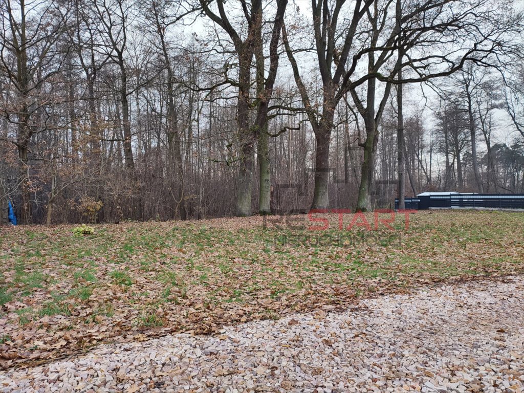 Urokliwa działka 1516 m2 z pomnikami przyrody i mediami Adamowizna  1 516m2 Foto 1