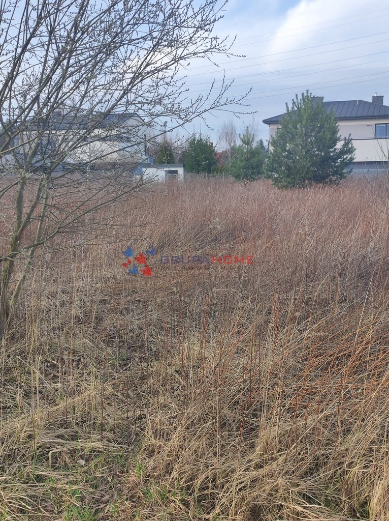Zdjęcie 6