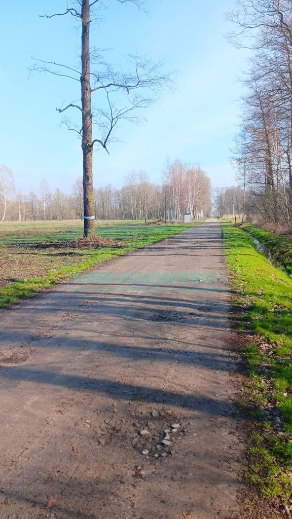 Działka leśna z prawem budowy na sprzedaż Jaktorów  8 700m2 Foto 5