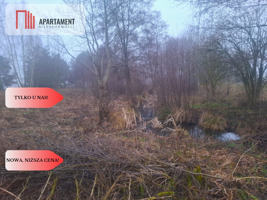 Działka 4 284 m² w Wałkowiskach – blisko lasów i Zalewu Wałkowiska  4 284m2 Foto 1