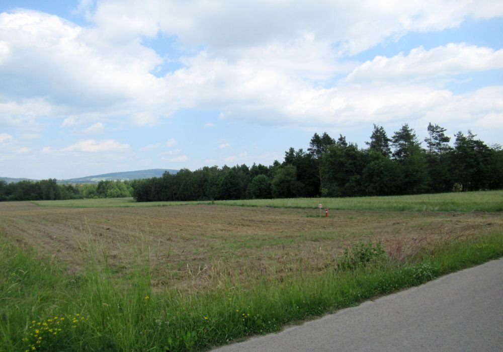 Działka budowlana na sprzedaż Wola Łagowska  2 000m2 Foto 2