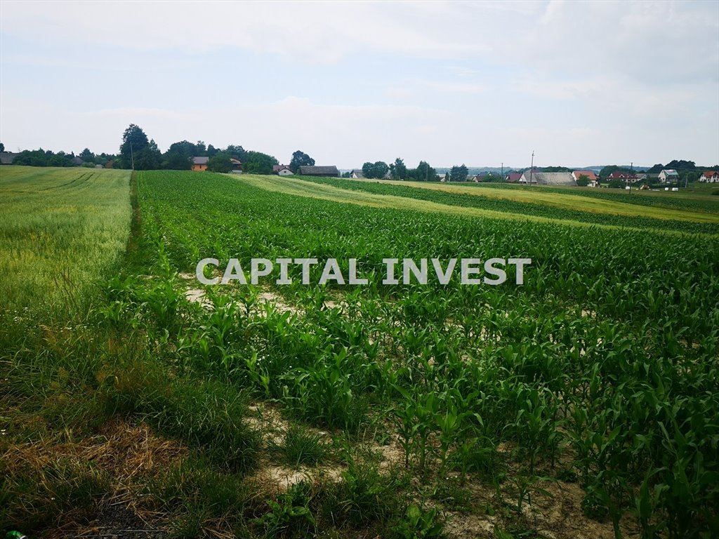 Na sprzedaż działka 800 m² pod zabudowę i usługi w Gierałtowicach Gierałtowice  800m2 Foto 1