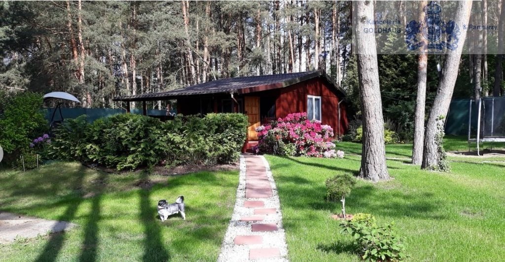 Działka rekreacyjna na sprzedaż Nowe Załubice 1 500m2 Foto 1 Działka rekreacyjna na sprzedaż Nowe Załubice 1 500m2 Foto 1