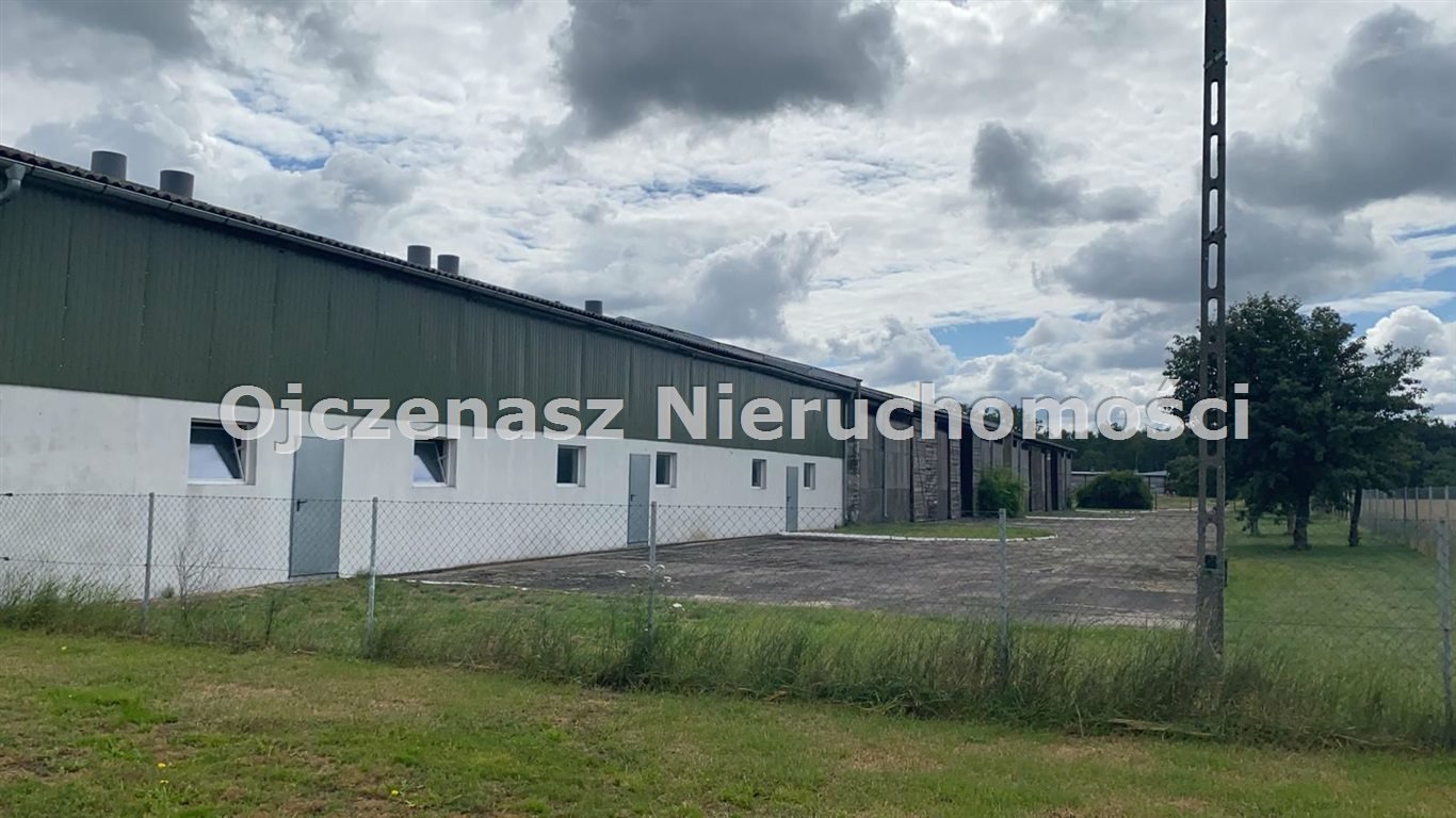 Magazyn na sprzedaż Nowe Dąbie  7 000m2 Foto 20