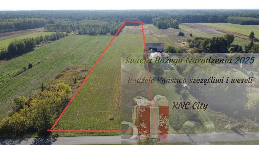 Działka budowlana na sprzedaż Rudki  22 012m2 Foto 1