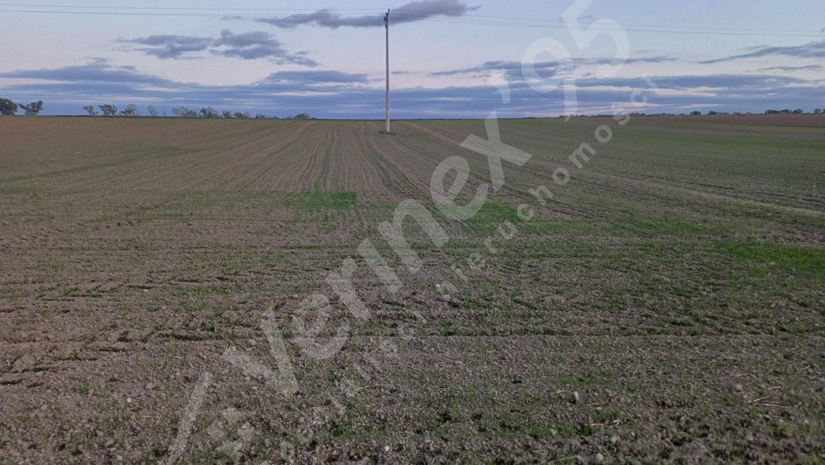 Działka budowlana na sprzedaż Jawor  2 375m2 Foto 1