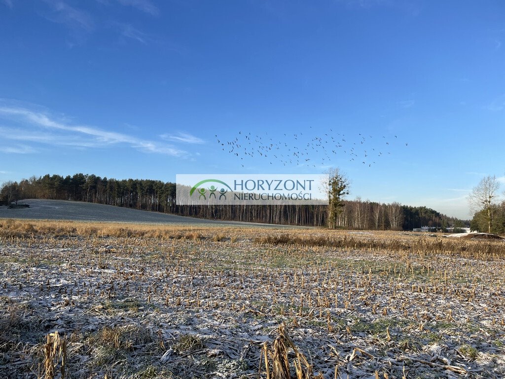 Działki pod zabudowę w Bojano – wybierz idealną! Bojano  1 030m2 Foto 1