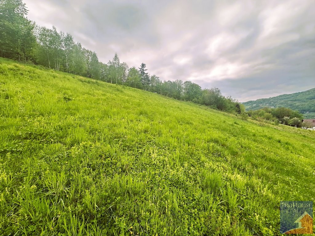 Działka budowlana na sprzedaż Laskowa  1 000m2 Foto 9