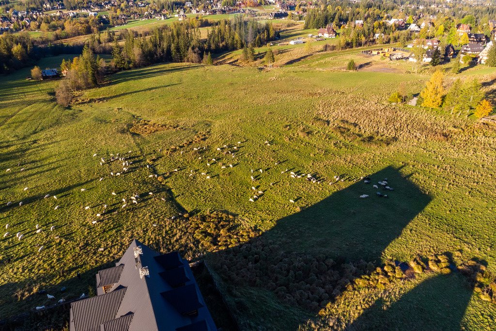 Działka rolna na sprzedaż Kościelisko  2 957m2 Foto 15