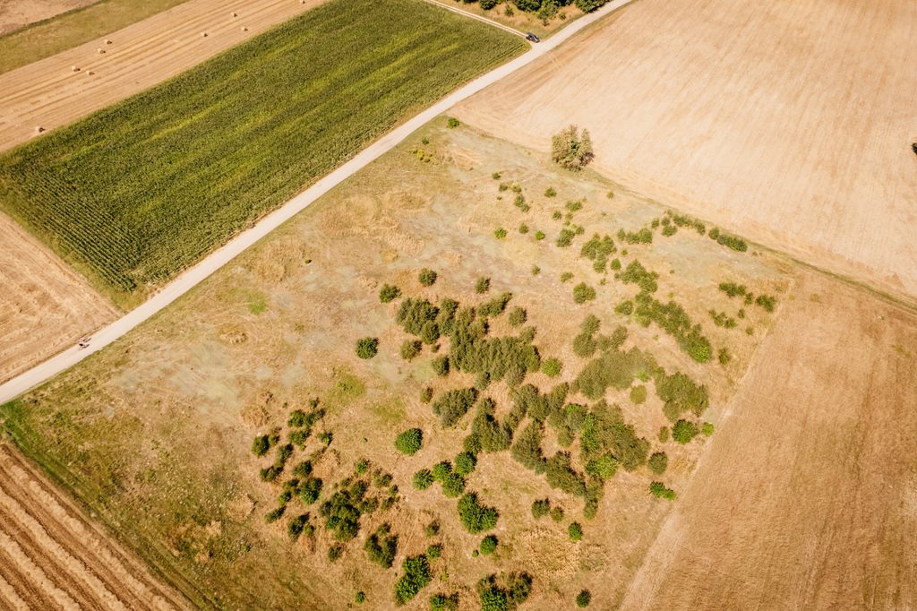 Działka rolna na sprzedaż Opatówek  4 200m2 Foto 1