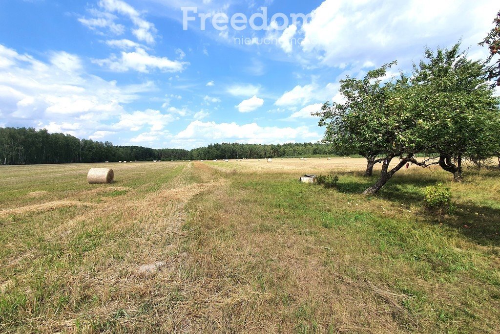 Działka rolna na sprzedaż Trojanów  120 327m2 Foto 14