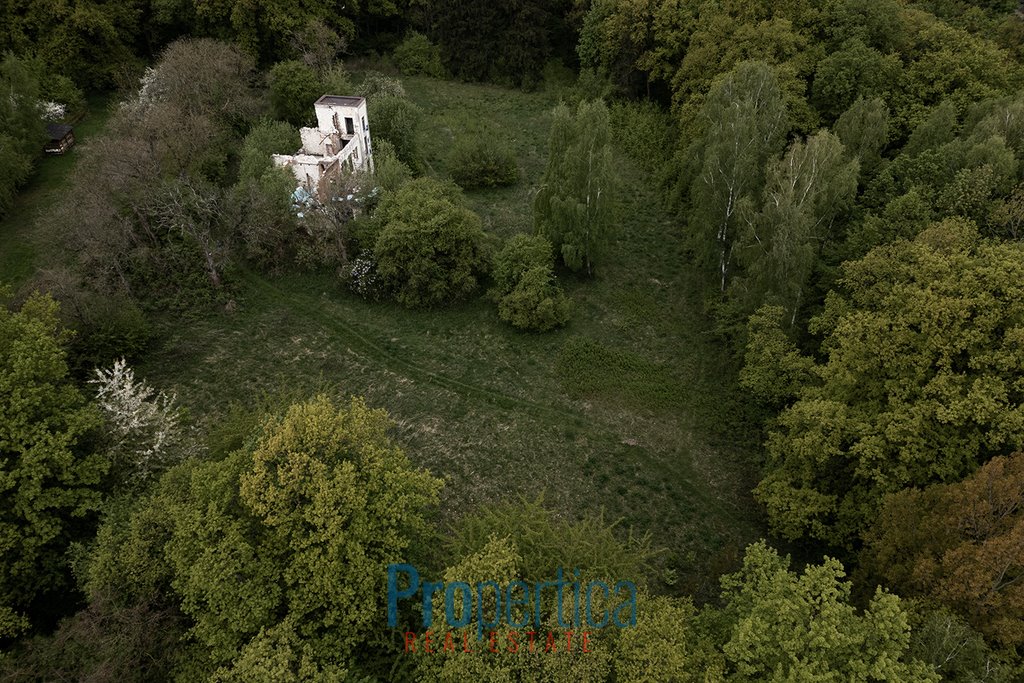 Działka budowlana na sprzedaż Kazimierz Dolny, Plebanka  29 924m2 Foto 5