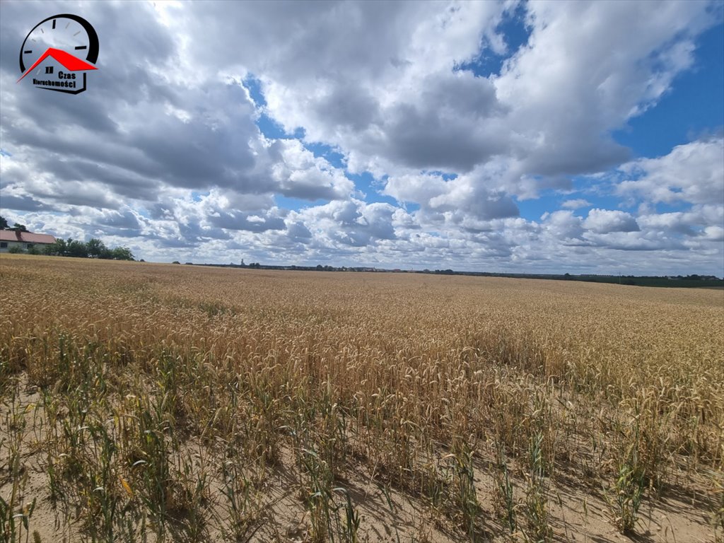 Działka budowlana na sprzedaż Barcin  1 040m2 Foto 6