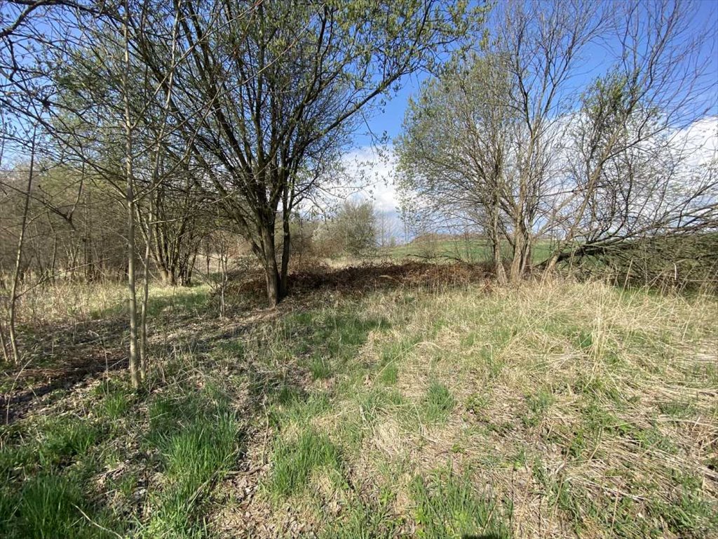 Działka 3000 m² z MPZP pod zabudowę jednorodzinną Kłodzko  3 000m2 Foto 1