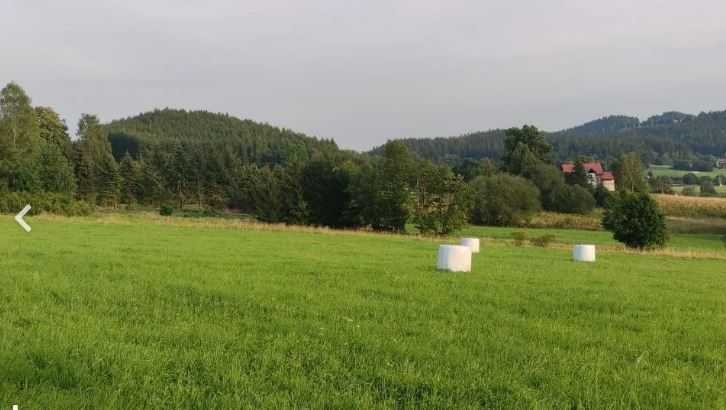 Działka inna na sprzedaż Nowa Ruda  2 000m2 Foto 2