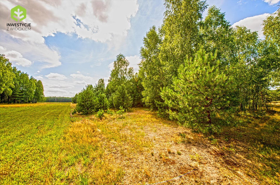 Działka budowlana na sprzedaż Rynia, Działki budowlane na nowym osiedlu przy lesie  732m2 Foto 9