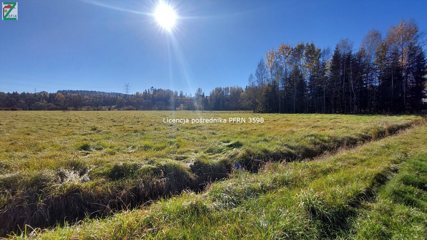 Dom na sprzedaż JORDANÓW  100m2 Foto 5