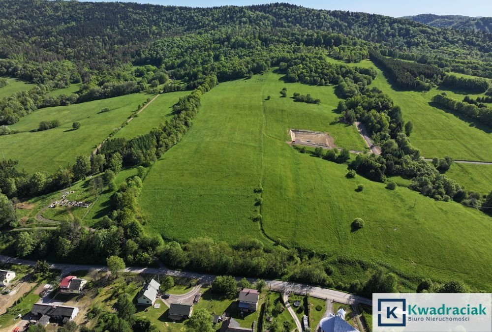 Działka inwestycyjna na sprzedaż Stężnica  7 000m2 Foto 3