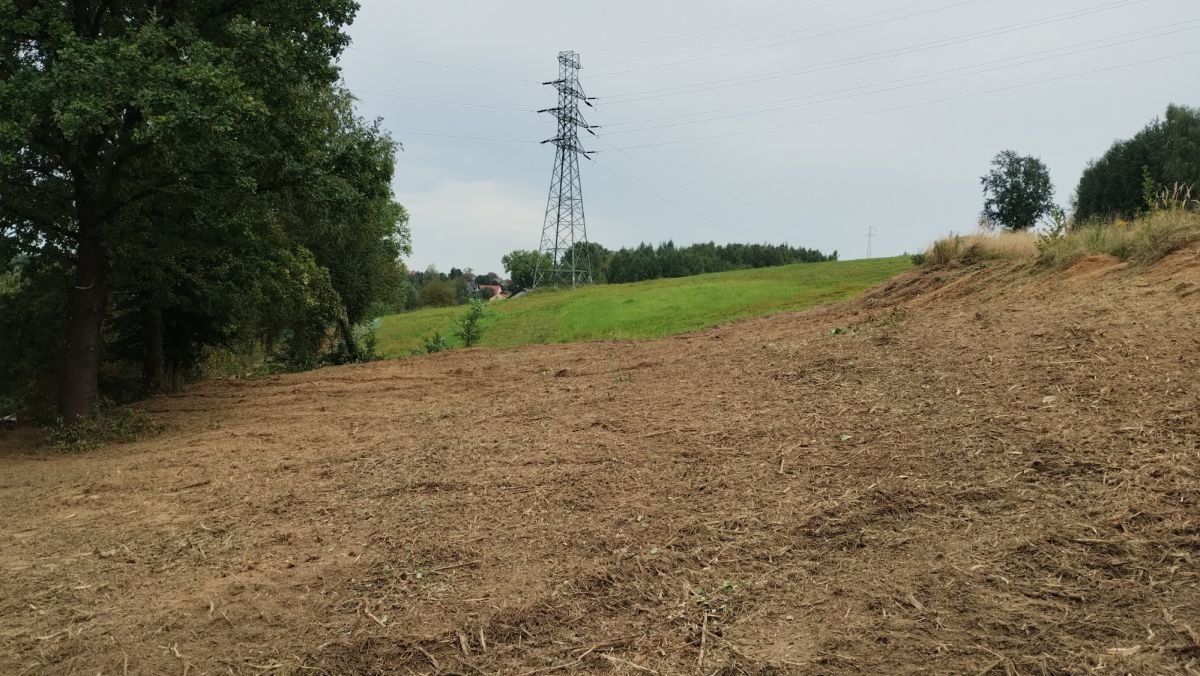 Działka budowlana na sprzedaż Sułków  846m2 Foto 2