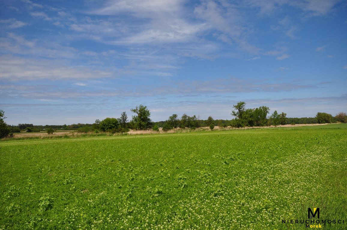 Działka budowlana na sprzedaż Kładno, Pleśna  1 000m2 Foto 3