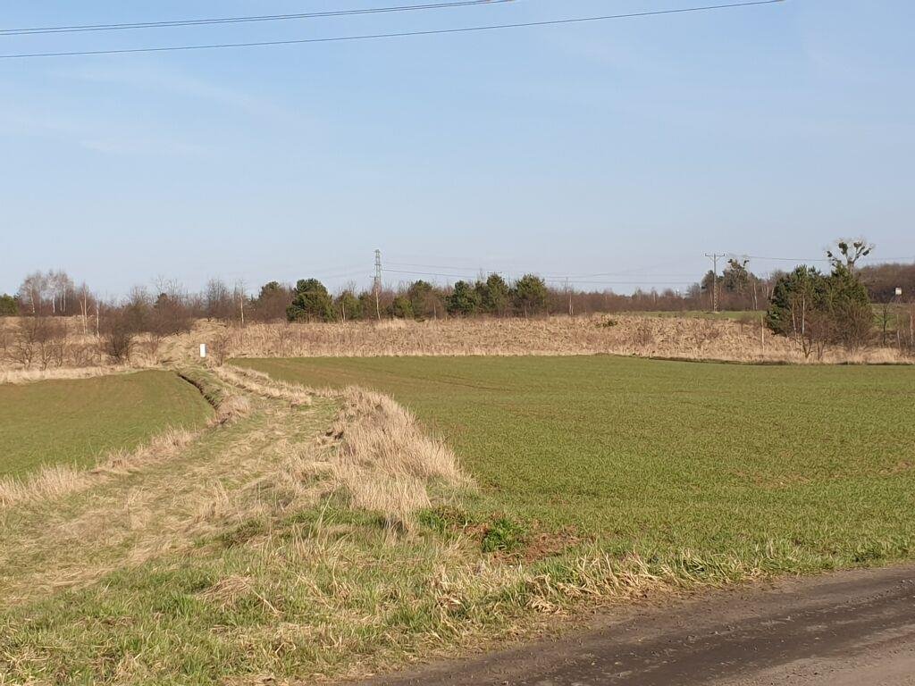 Działka budowlano-rolna 2120 m² w otoczeniu lasu i stawów Miasteczko Śląskie  2 120m2 Foto 1