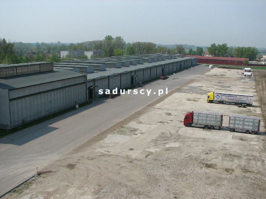 Magazyn 3 900 m² z biurami, monitoring, parking, A4 Szczucin, Piłsudskiego  3 900m2 Foto 1