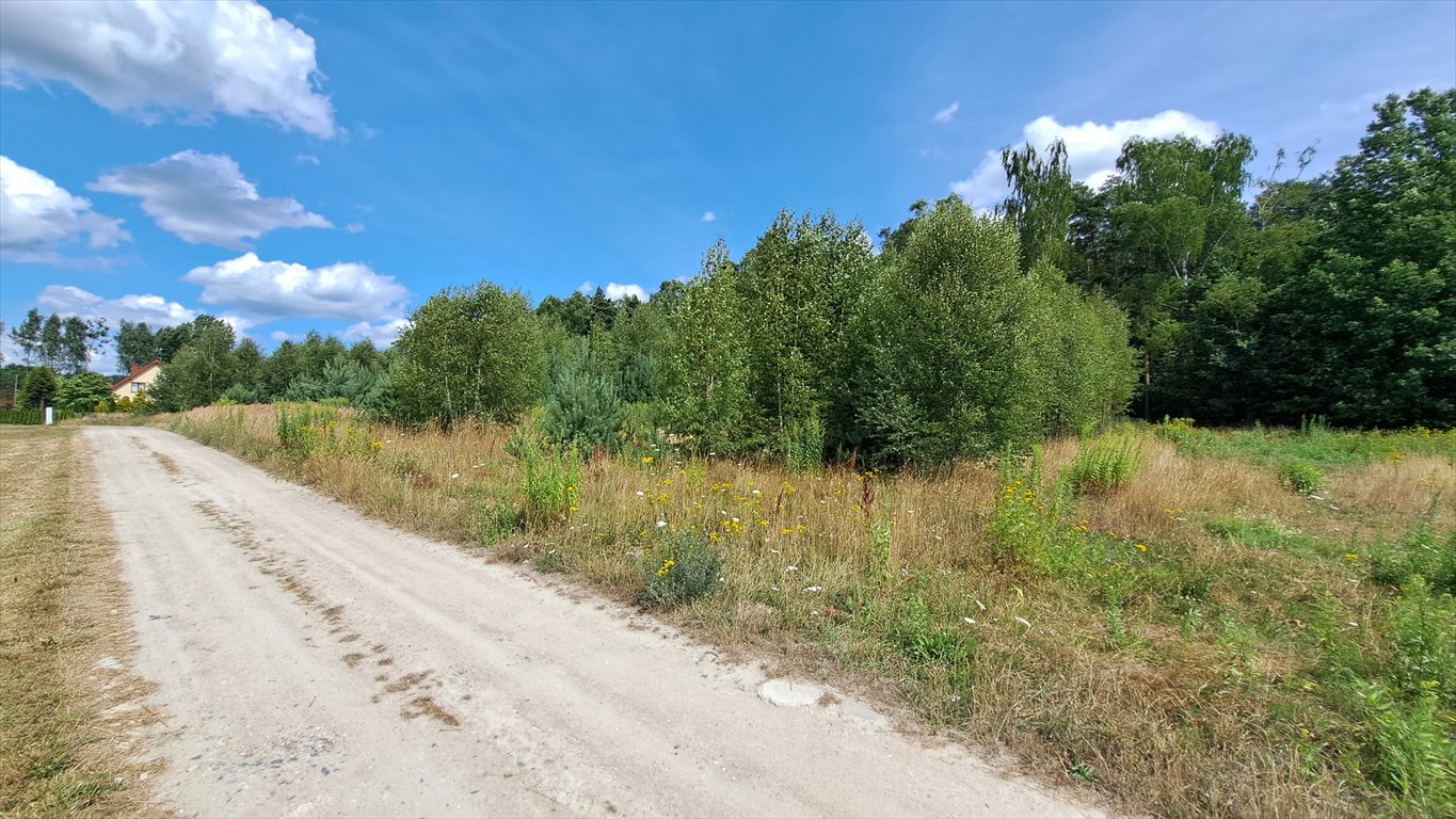 Działka budowlana na sprzedaż Zawady, Zawady  4 000m2 Foto 8