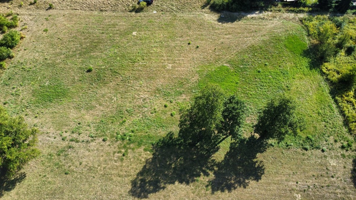 Działka budowlana na sprzedaż Stanisławów Pierwszy  3 948m2 Foto 4