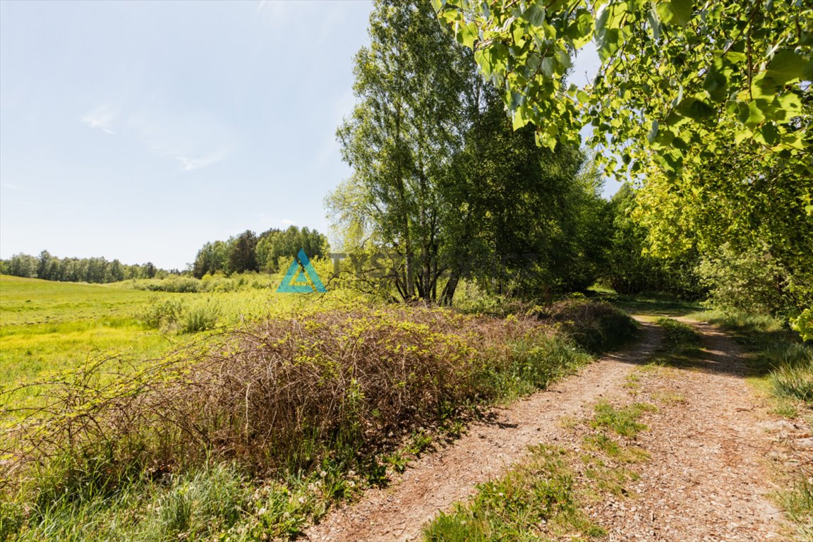 Działka rekreacyjna na sprzedaż Sarnowy  4 500m2 Foto 3