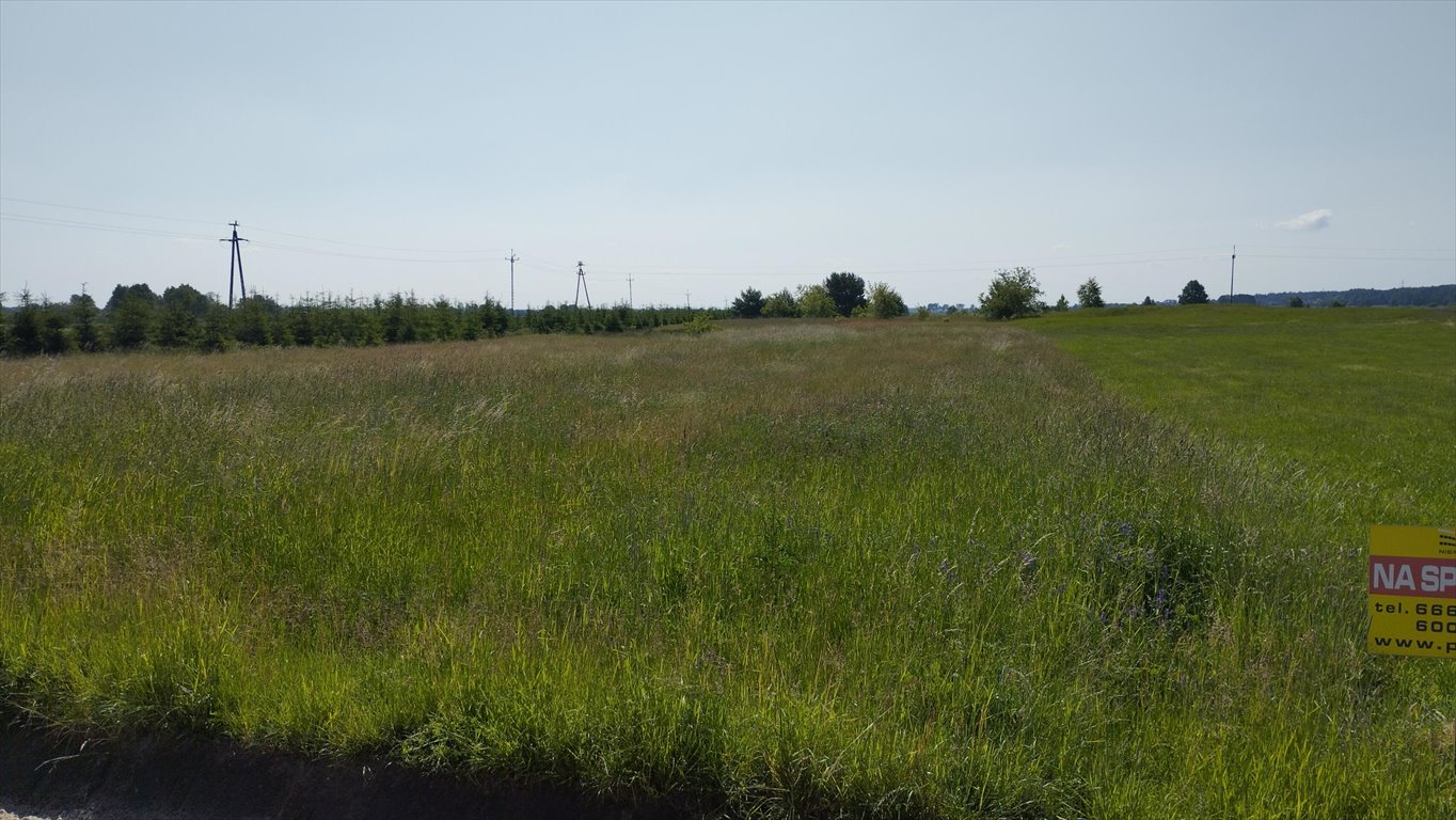 Działka budowlana na sprzedaż Jeglijowiec  3 200m2 Foto 3