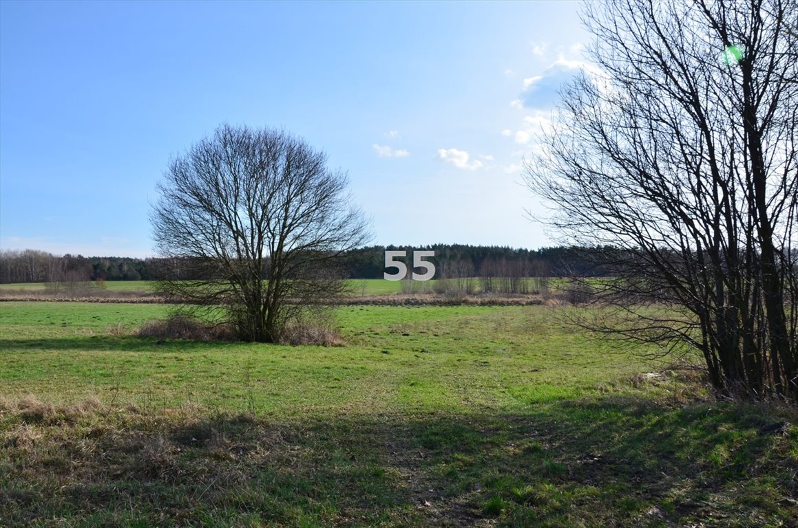 Działka inna na sprzedaż Celestynów, Katarzynów  1 260m2 Foto 8