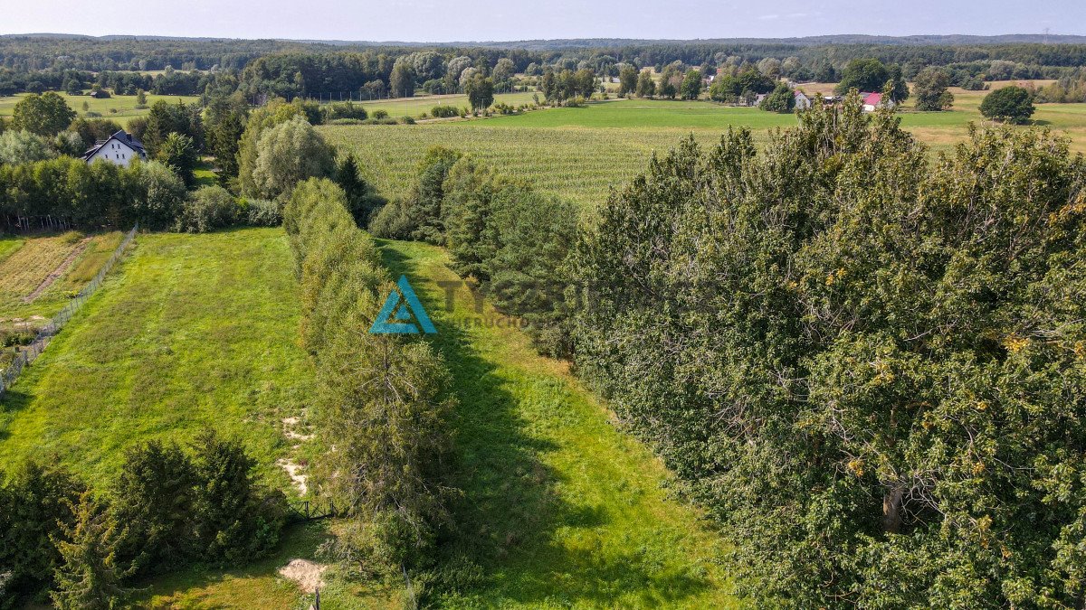 Działka budowlana na sprzedaż Postołowo  3 300m2 Foto 6