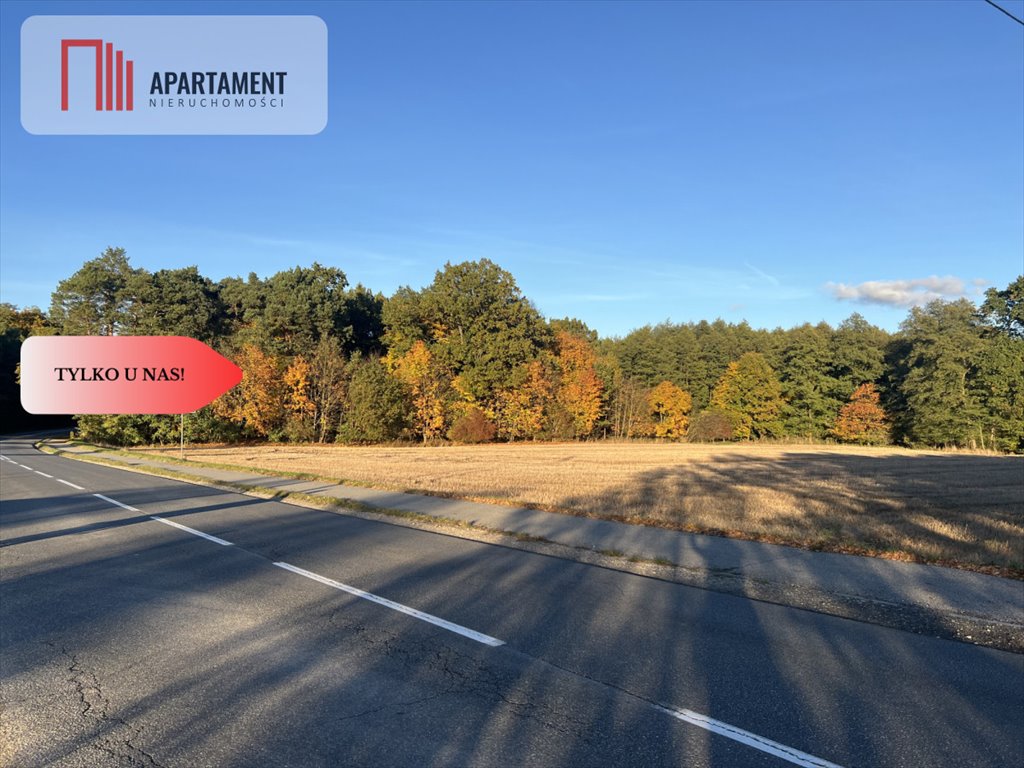 Działka budowlana 987 m² z warunkami zabudowy, las, cisza Jagodowo  987m2 Foto 1