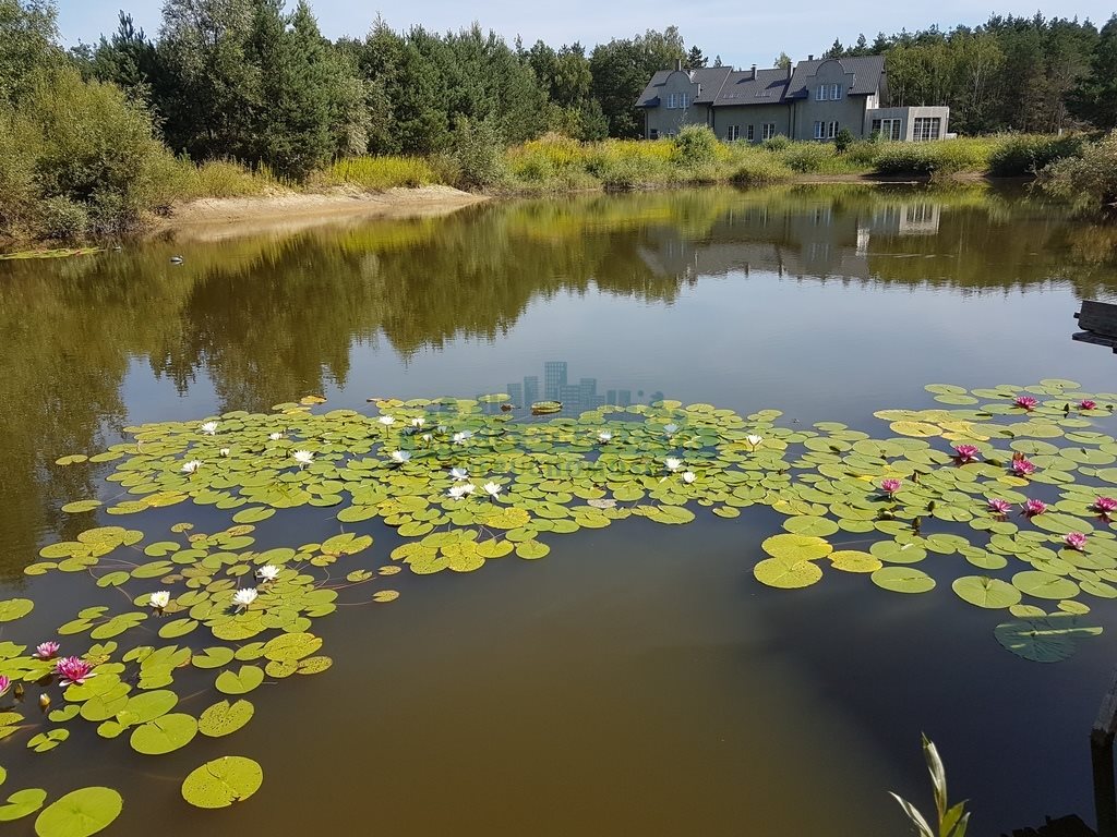 Działka budowlana na sprzedaż Sierzchów  10 000m2 Foto 12