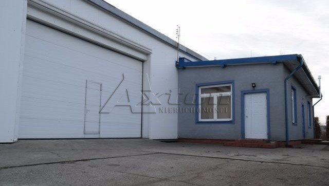 Lokal użytkowy na wynajem Reguły, Elizy Orzeszkowej 600m2 Foto 1 Lokal użytkowy na wynajem Reguły, Elizy Orzeszkowej 600m2 Foto 1