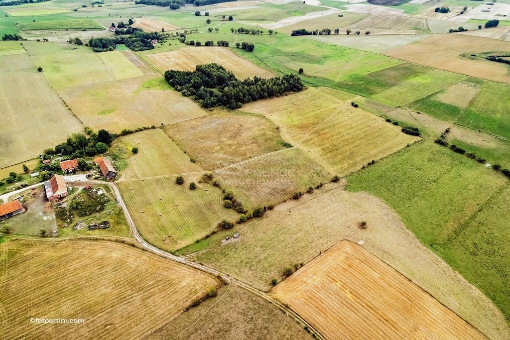 Działka rolna na sprzedaż Dybowo  43 751m2 Foto 5