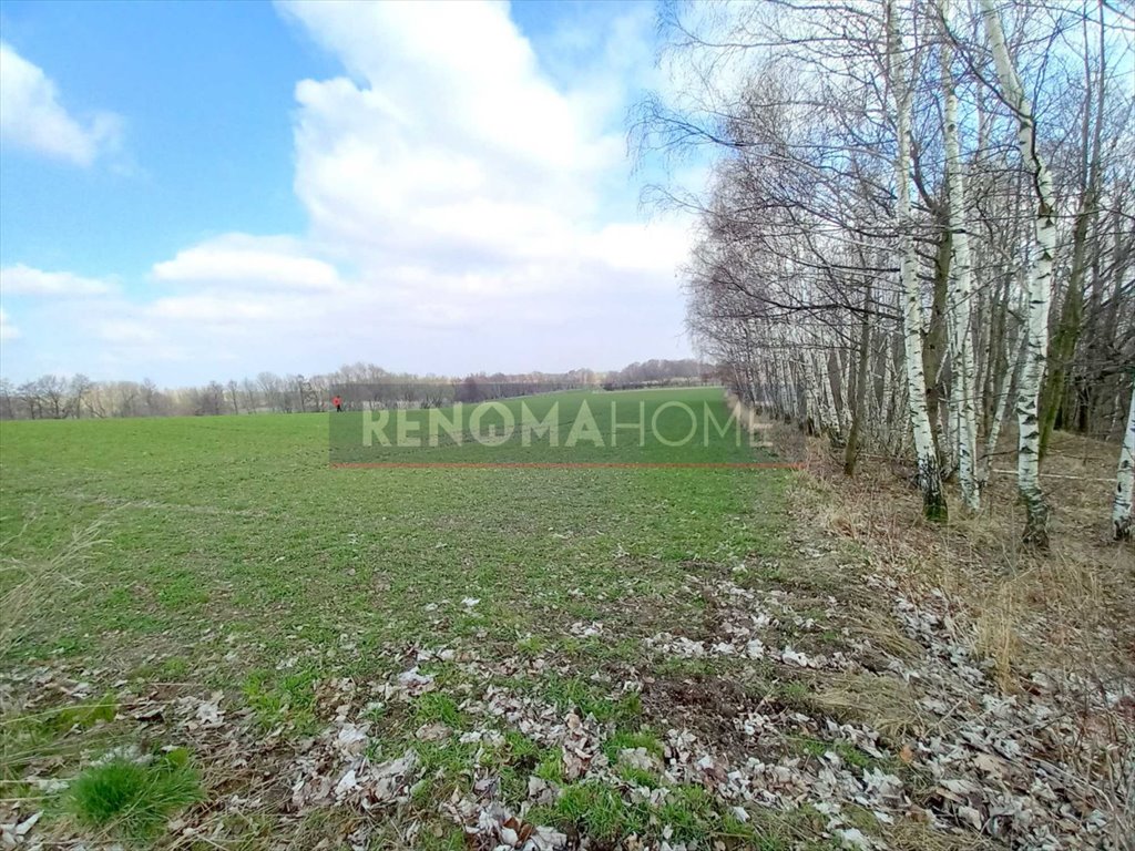 Działka budowlana na sprzedaż Witoszów Górny  1 518m2 Foto 11