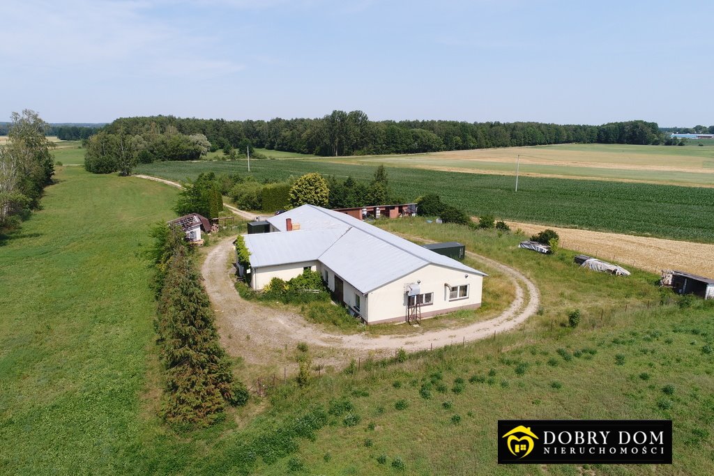Hala 600 m² z dużą mocą prądu - polecam! Olszewek  600m2 Foto 1