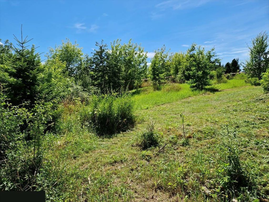 Działka budowlana na sprzedaż Kurów, Na Klifie  1 650m2 Foto 2